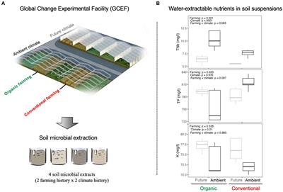 The stress history of soil bacteria under organic farming enhances the growth of wheat seedlings